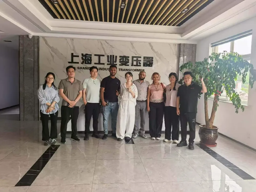 Xoş gəlmisiniz! Efiopiya Nümayəndə heyəti Transformatorlar və Enerji Paylayıcı Avadanlıqların Mübadiləsi üçün Shanghai Industrial Transformer Co., Ltd.-də olub